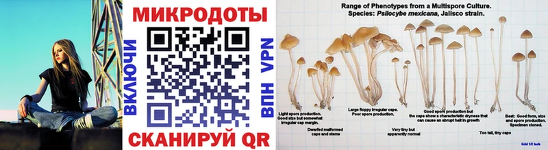 Галлюциногенные грибы Magic Shrooms  Новоуральск 